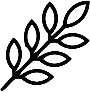 Premium Seasonal Flowers