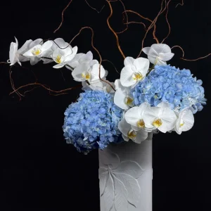 VASE COMPOSITIONS
