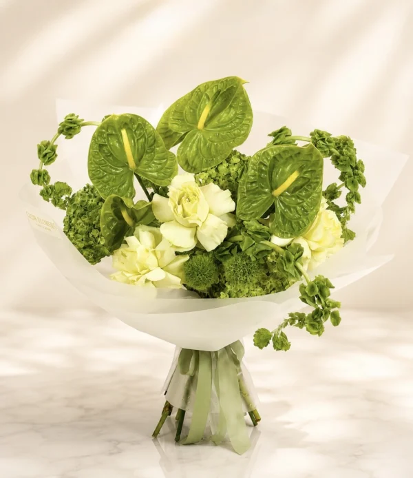anthurium-garden-001