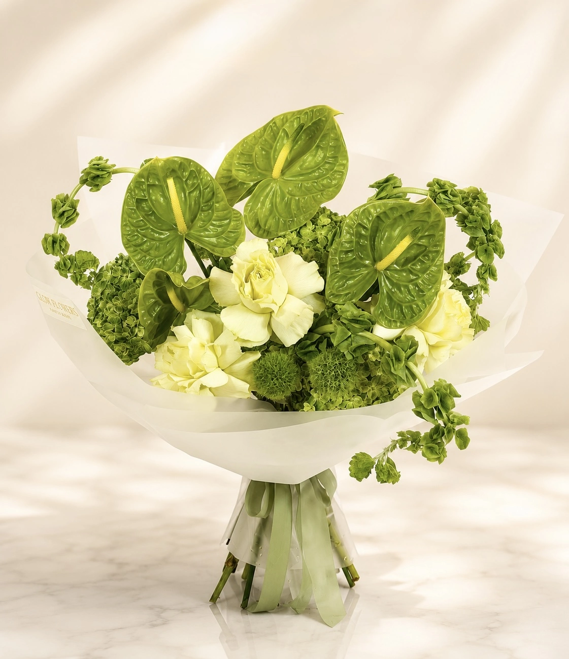 anthurium-garden-001