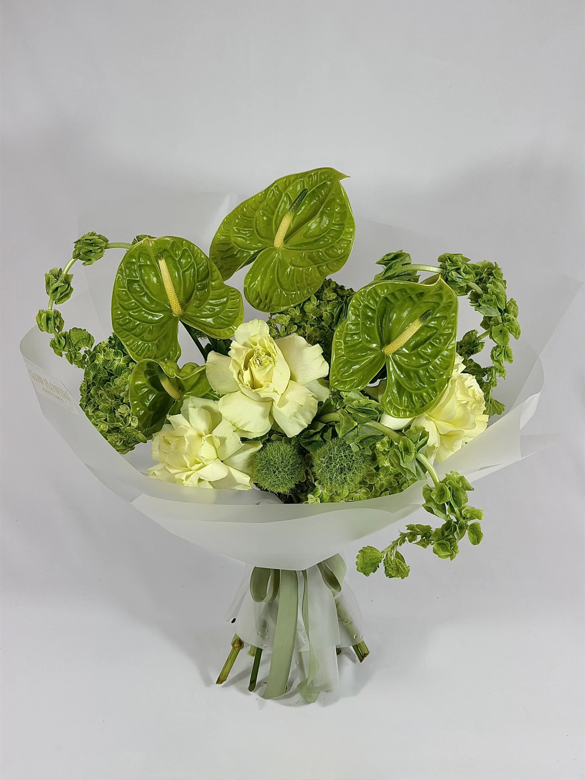 anthurium-garden-004-1.webp