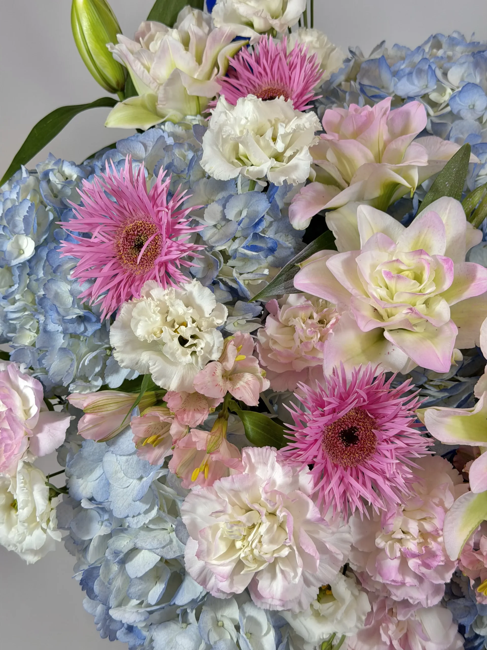 bella-vista-basket-004-1.webp