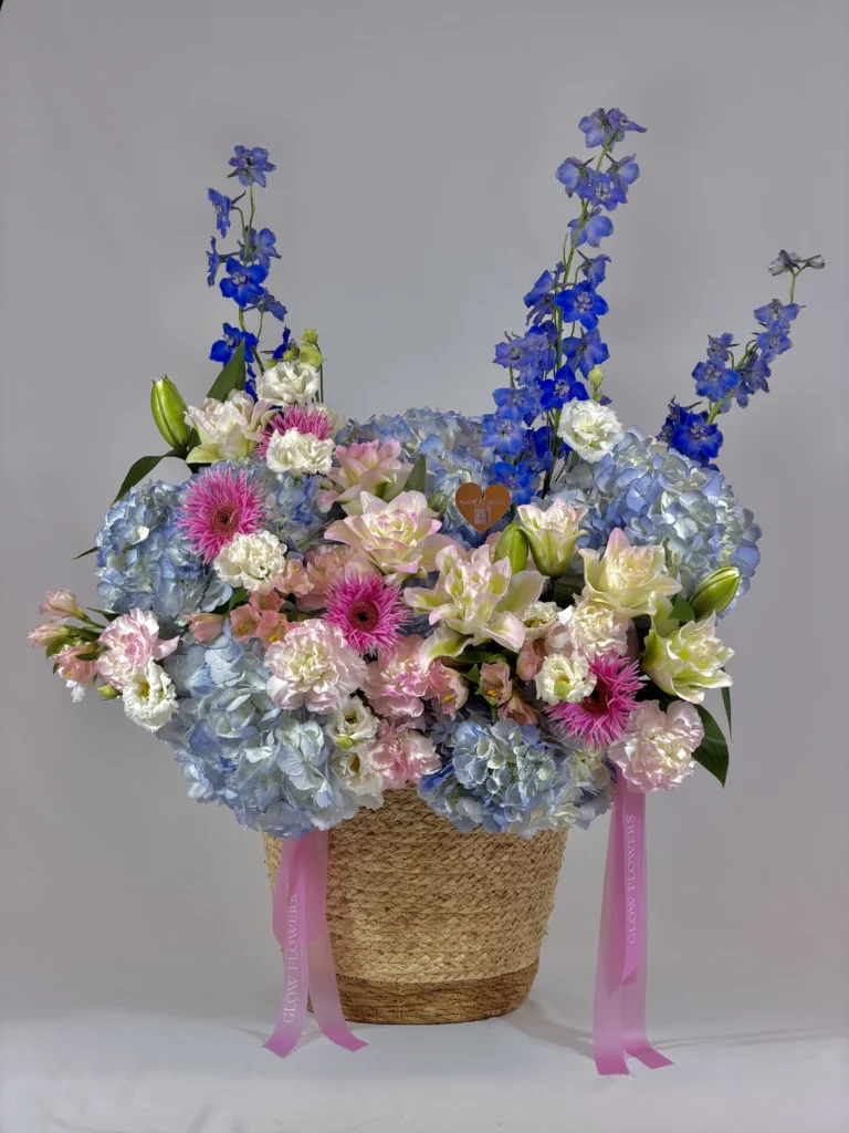 bella-vista-basket-005-1.webp