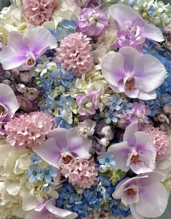 lilac-cloud-001-1.webp