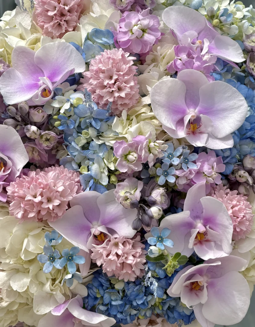 lilac-cloud-001-1.webp