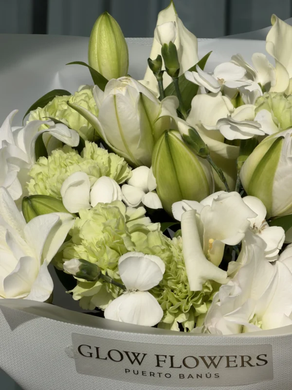lilly-grace-001-1.webp