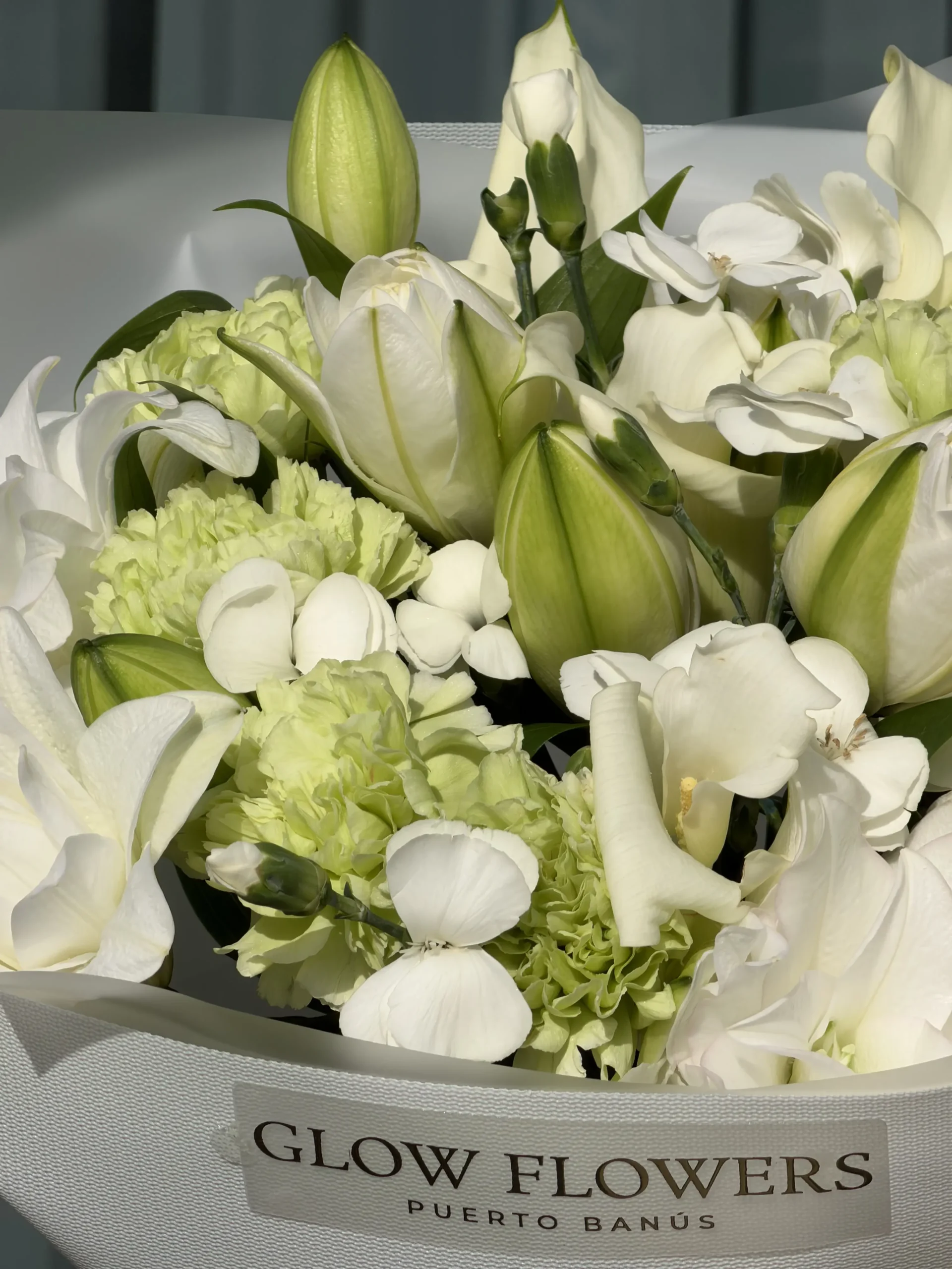 lilly-grace-001-1.webp