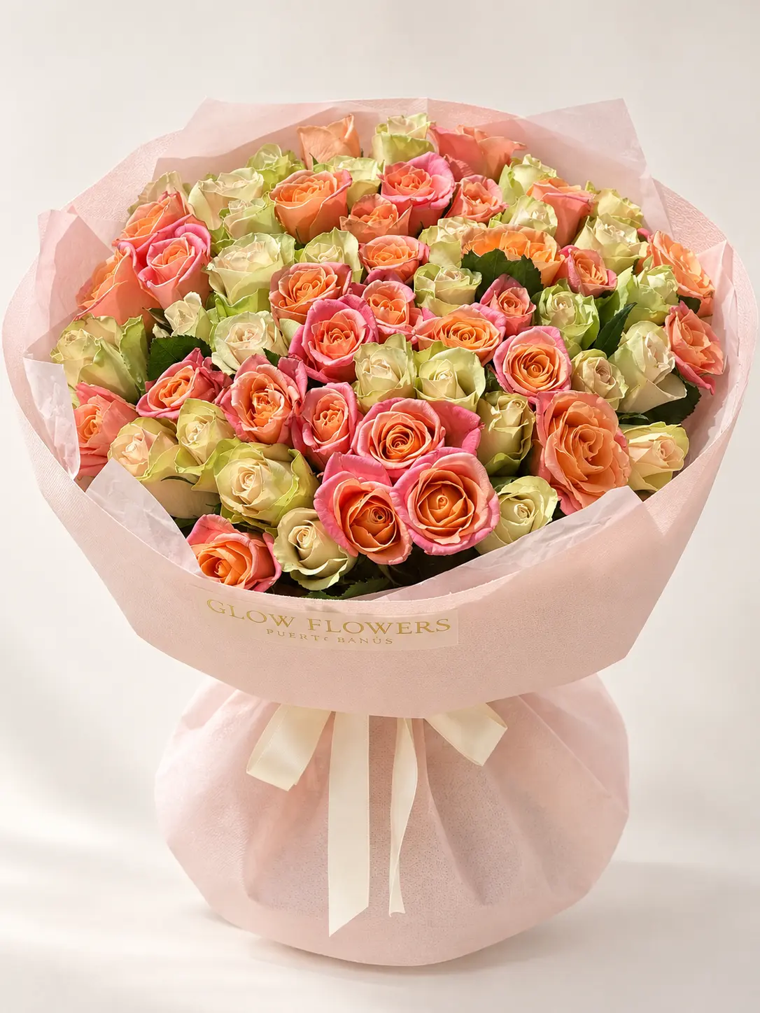 lime-peach-rose-garden-002