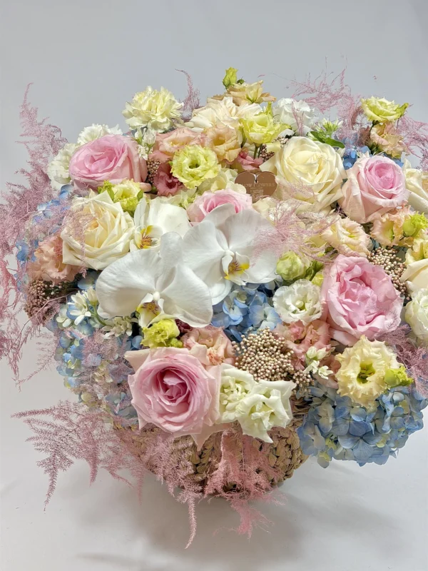 muse-basket-002-1.webp