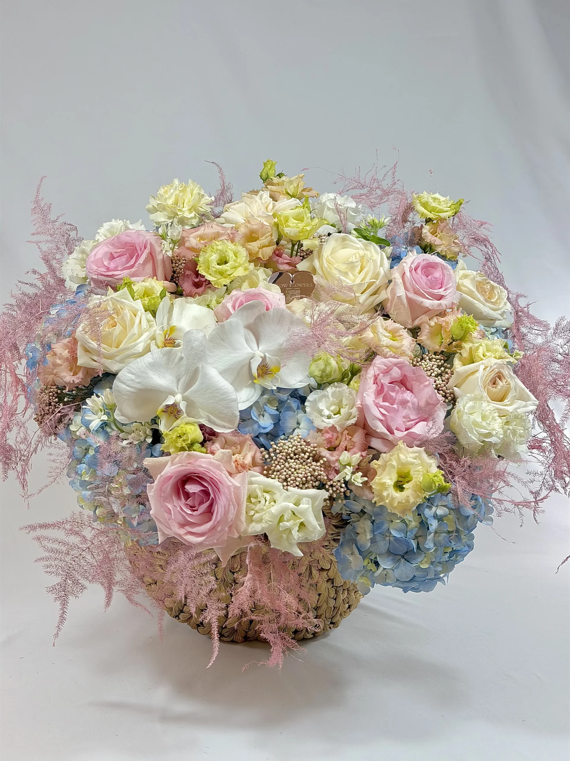muse-basket-005-1.webp
