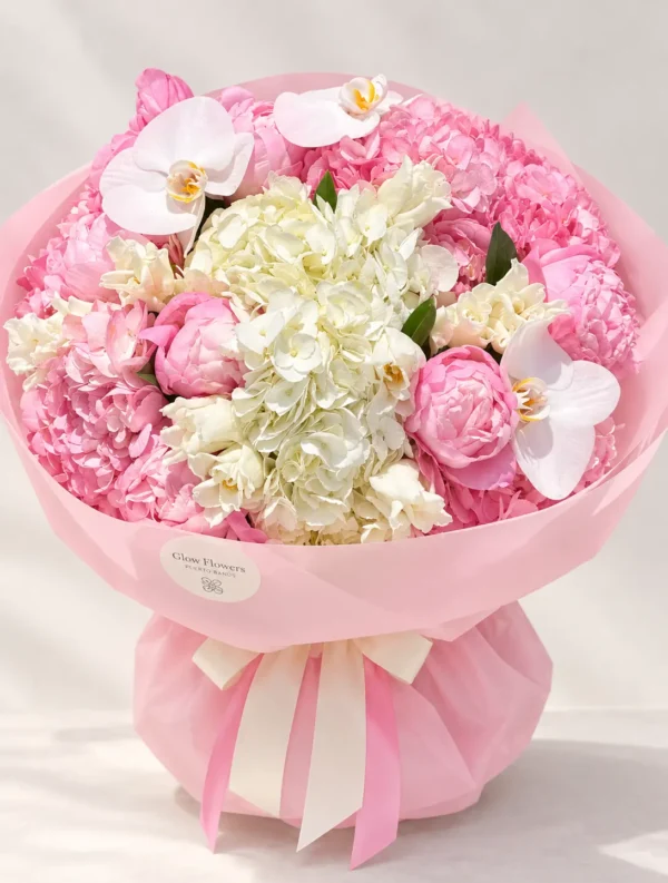 pink-cloud-002