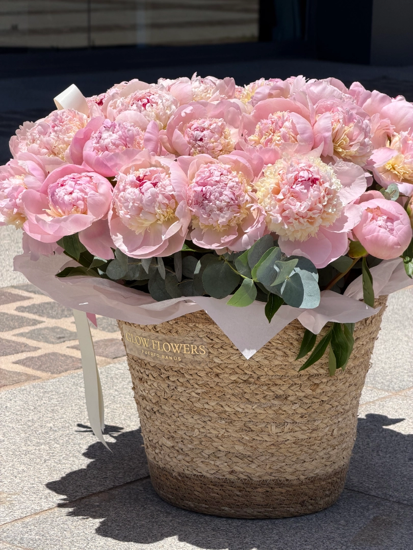 pink-peony-002