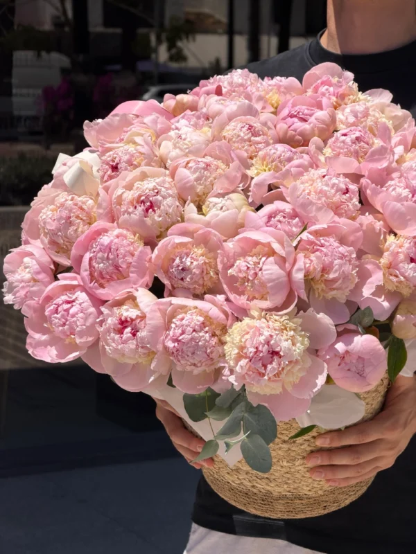 pink-peony-003