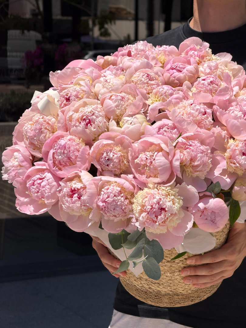 pink-peony-003