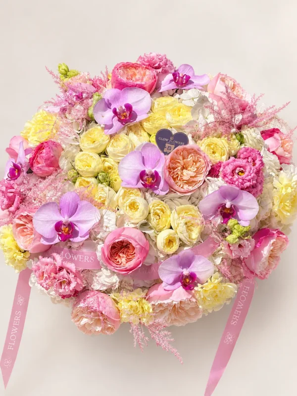 pink-sunshine-003