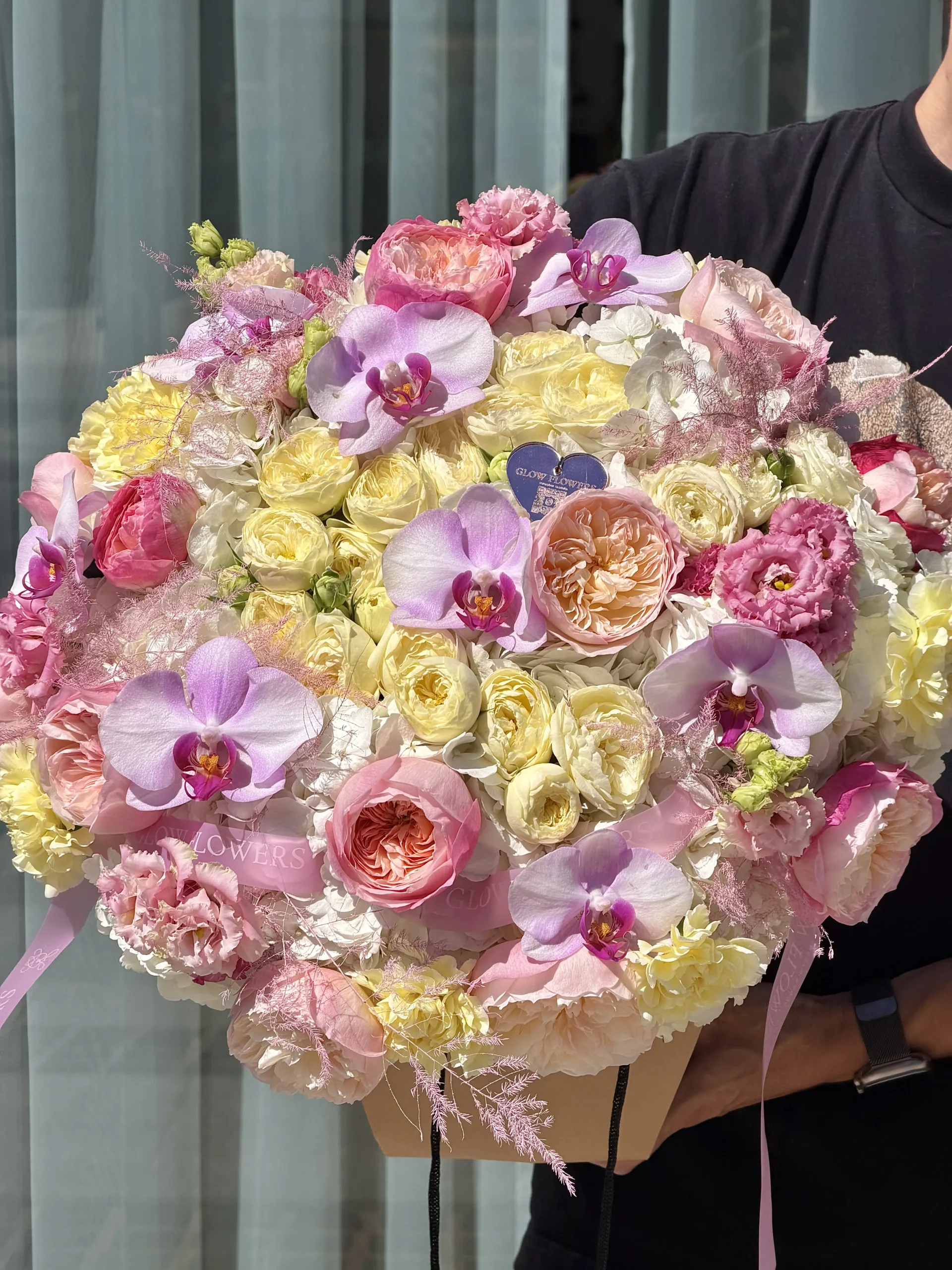 pink-sunshine-004-1.webp
