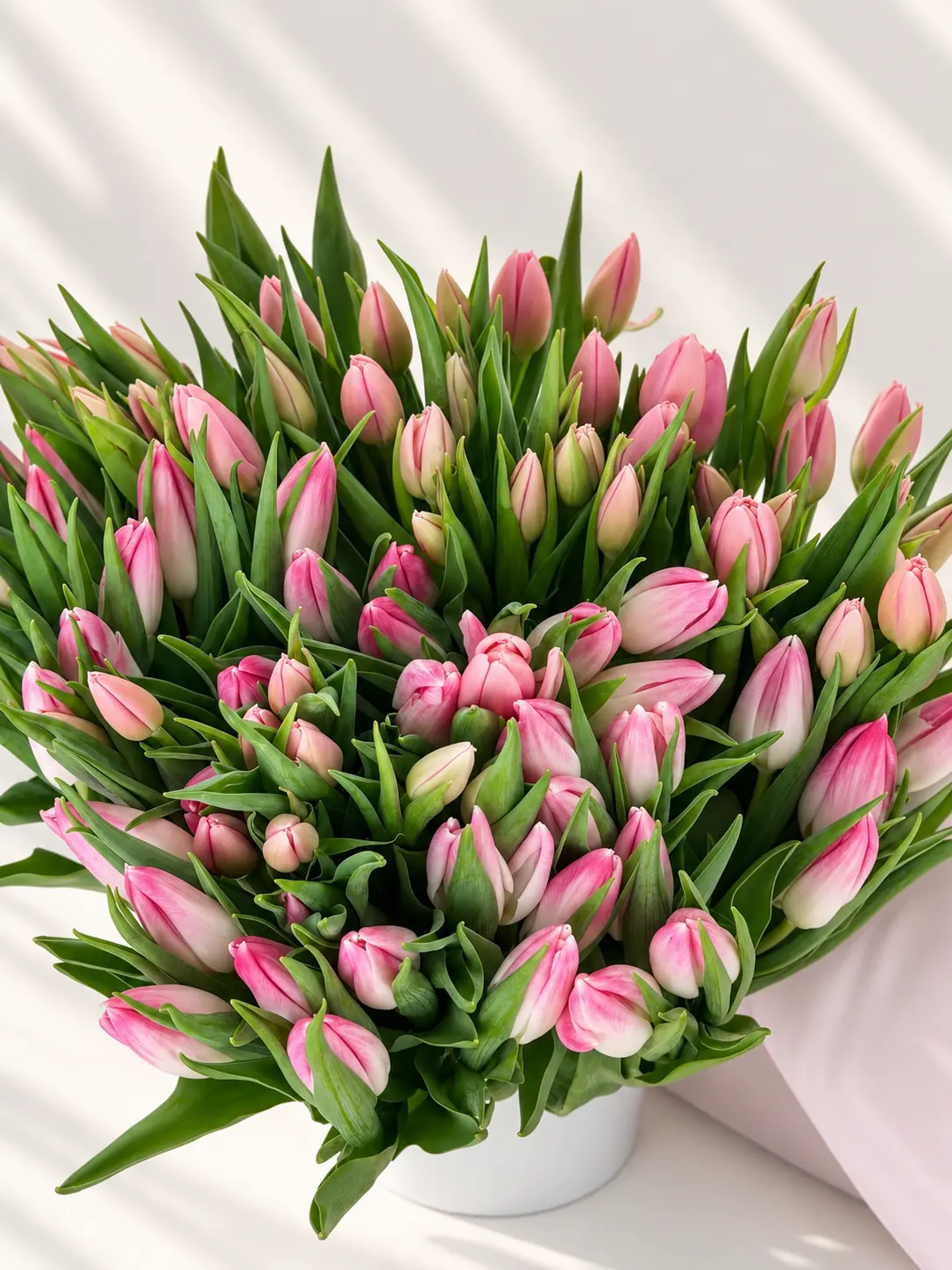 pink-tulip-003
