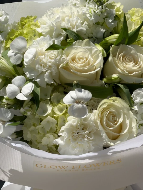 pure-rose-003