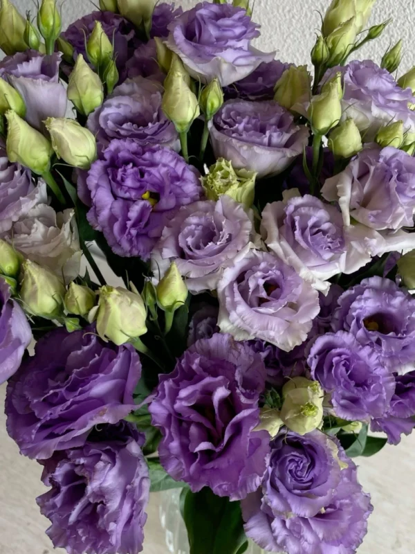 purple-lisianthus-wholesale-bunch-001