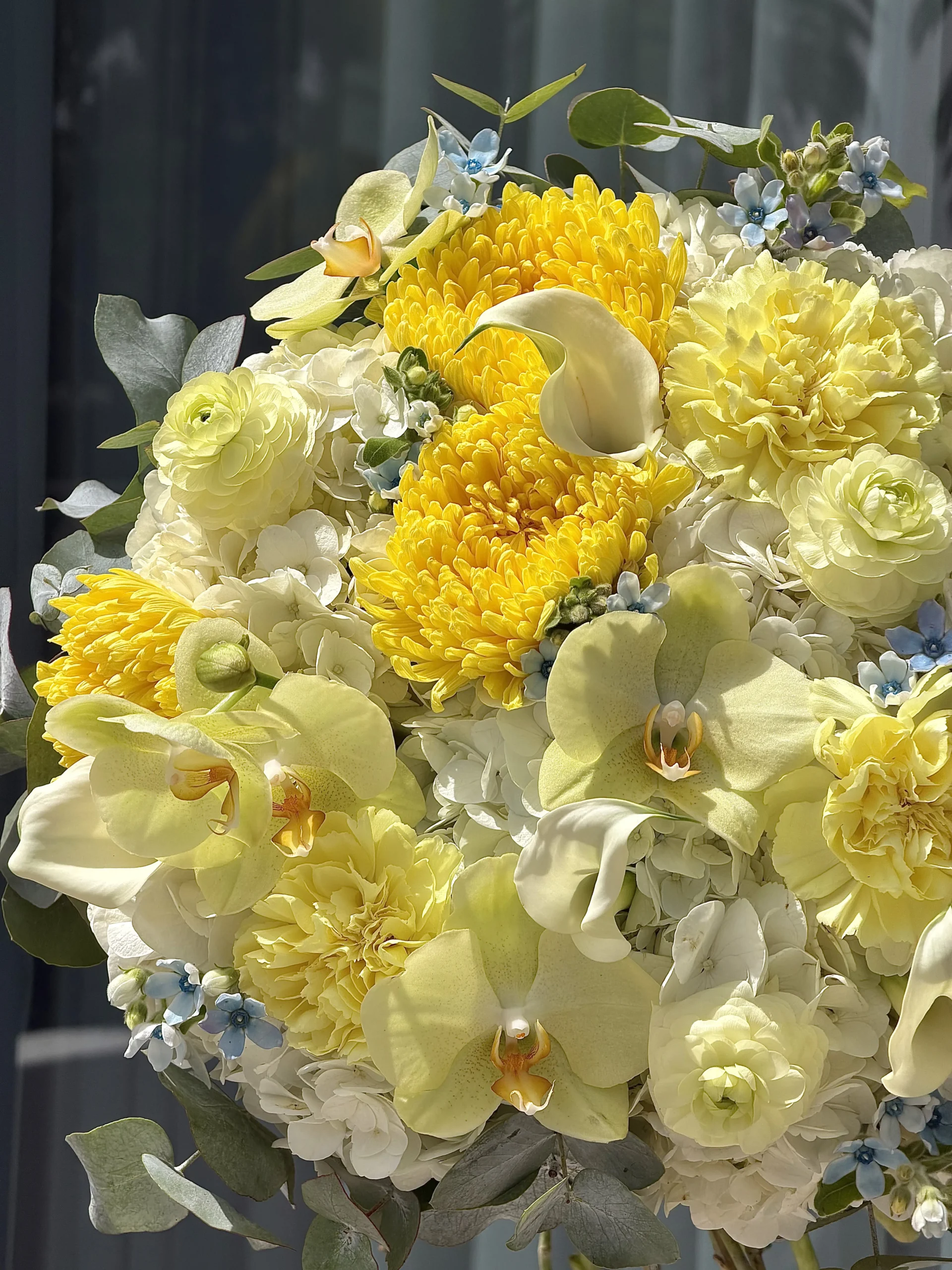 ray-of-sunshine-002-1.webp