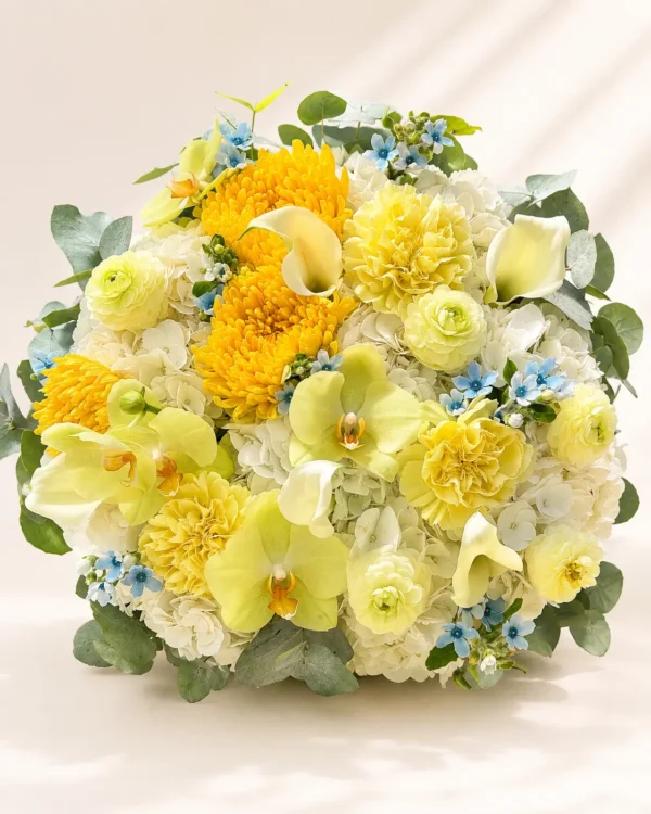 ray-of-sunshine-004