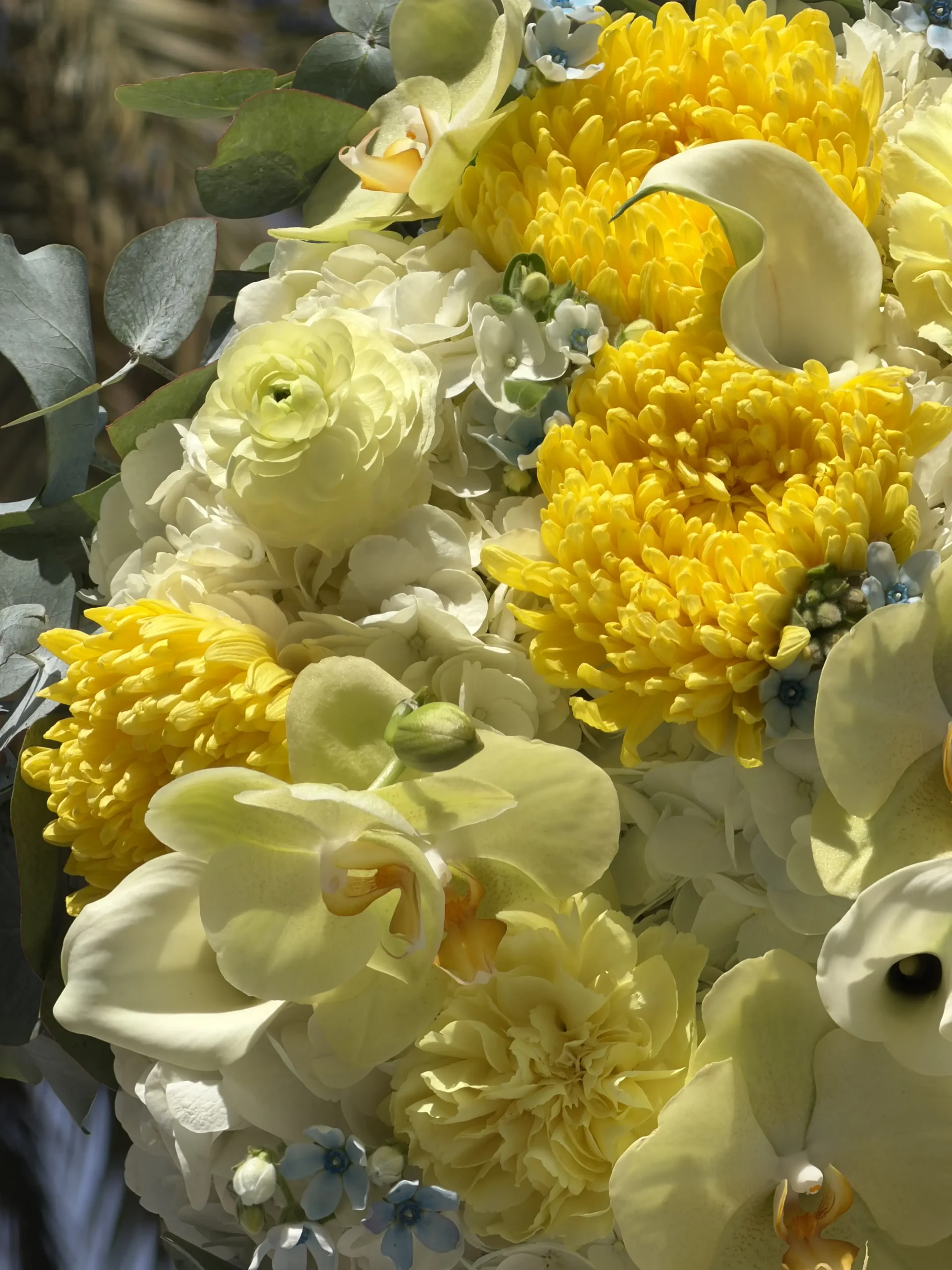 ray-of-sunshine-005-1.webp