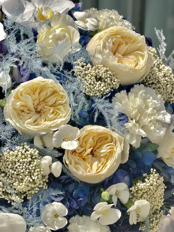 royal-blue-003-1.webp