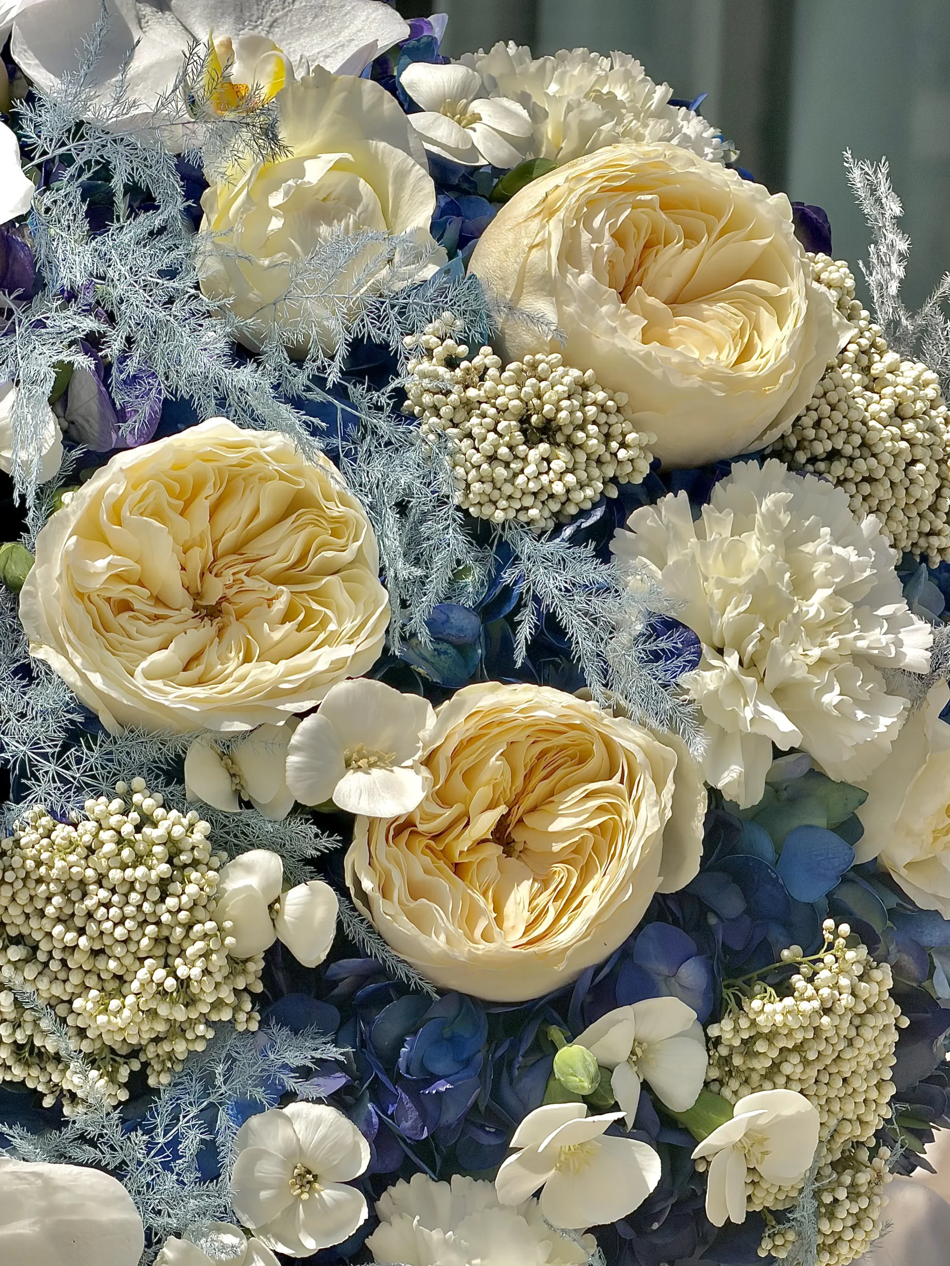 royal-blue-003-1.webp