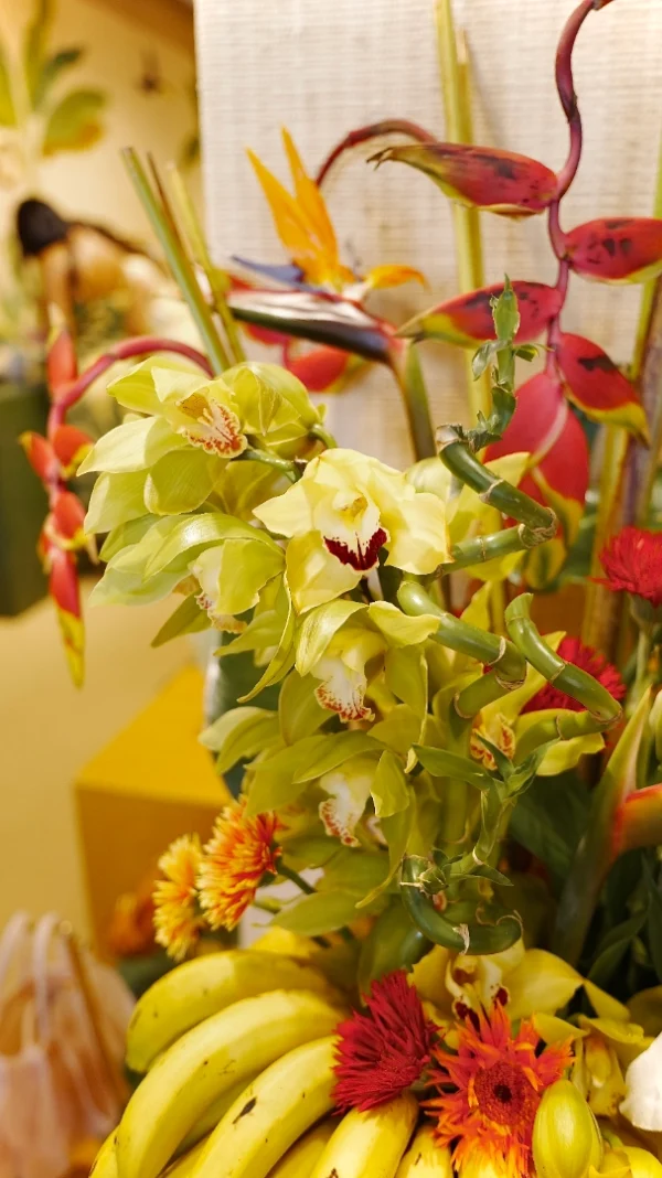 tropical-composition-002