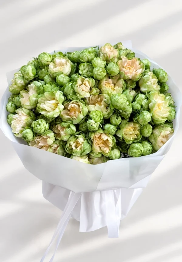 veggie-rose-mono-bouquet-001